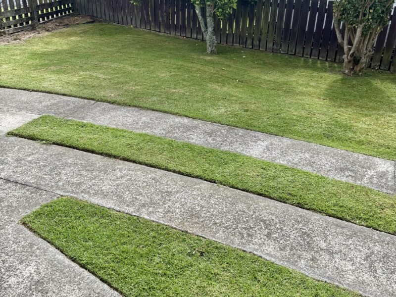 Limitless Lawns