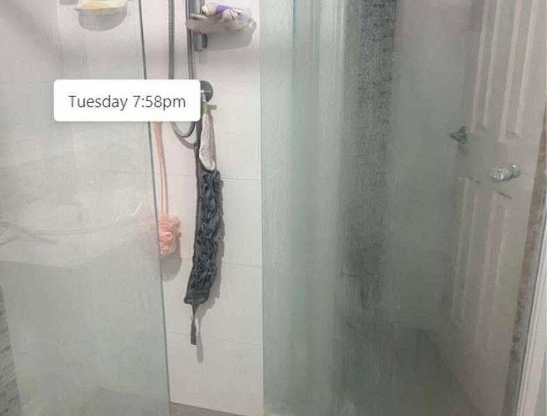 Professional Cleaning