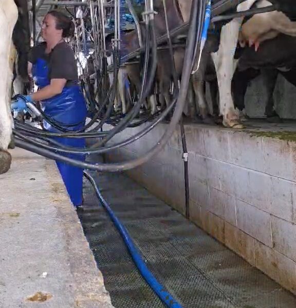 Farm Nanny